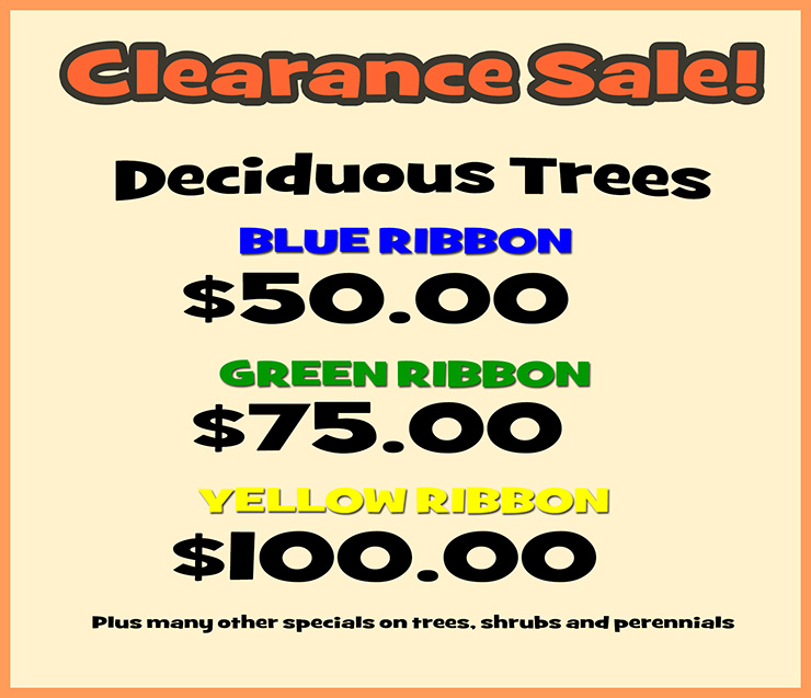 Clearance Trees