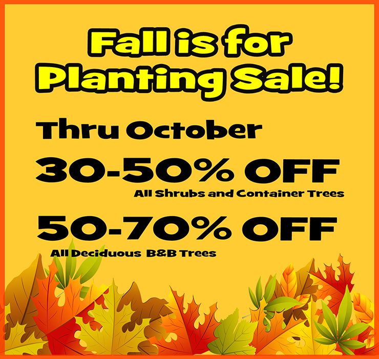 Fall is for Planting Sale!