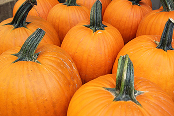 fall