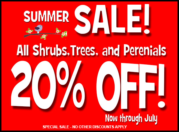 Rave Discount Plant center