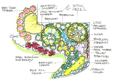 https://www.raveplants.com/do-it-yourself-landscape-design/images/plan.jpg